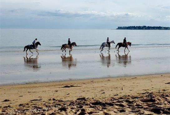 Esprit Cottage "4 Etoiles" Sables D'Or Les Pins Plurien Eksteriør bilde
